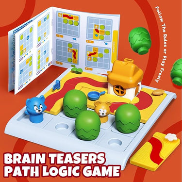 BRAIN TEASERS PUZZLES TOY
